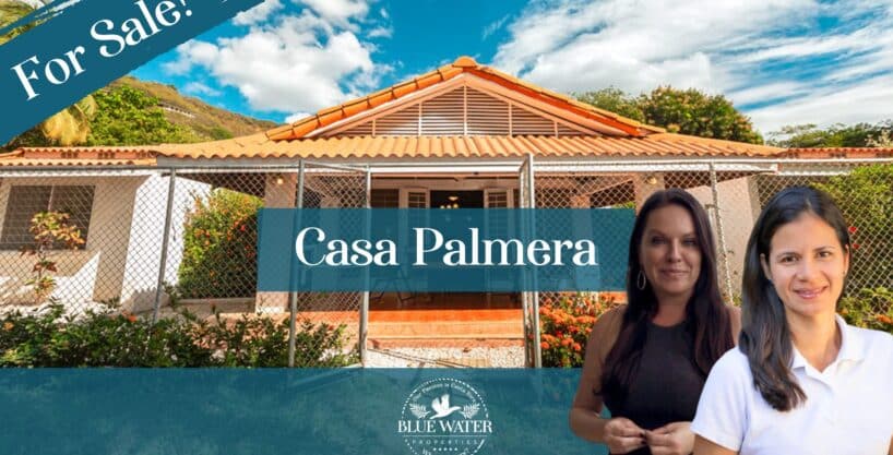 Casa Palmera Luxury Property for Sale