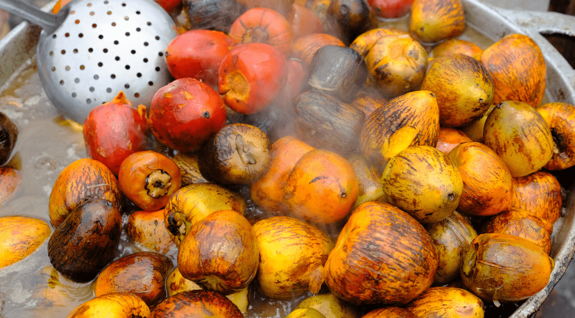 Costa Rica fruits Peach Palm Fruit