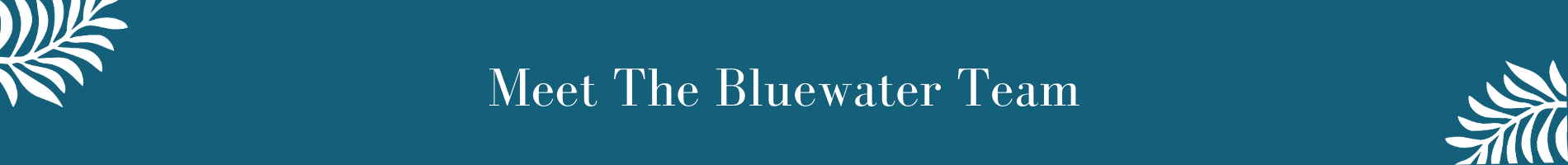 Meet The Bluewater Team